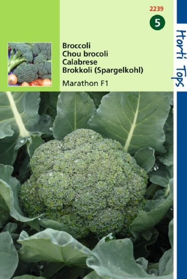 Broccoli Marathon F1 (Brassica) 75 zaden